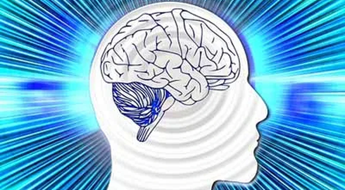 ¿Qué alimentos son buenos para el cerebro?