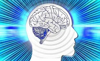 ¿Qué alimentos son buenos para el cerebro?
