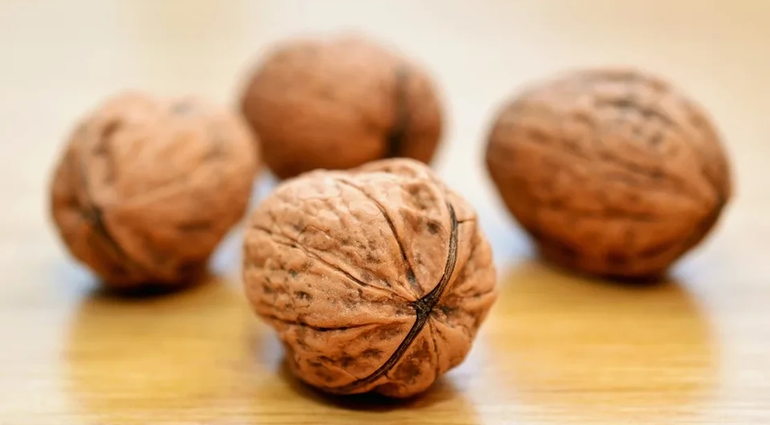 5 alimentos que nos ayudan a mejorar la memoria