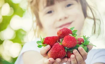 apps-moviles-ninos-conocer-los-alimentos-wikiduca