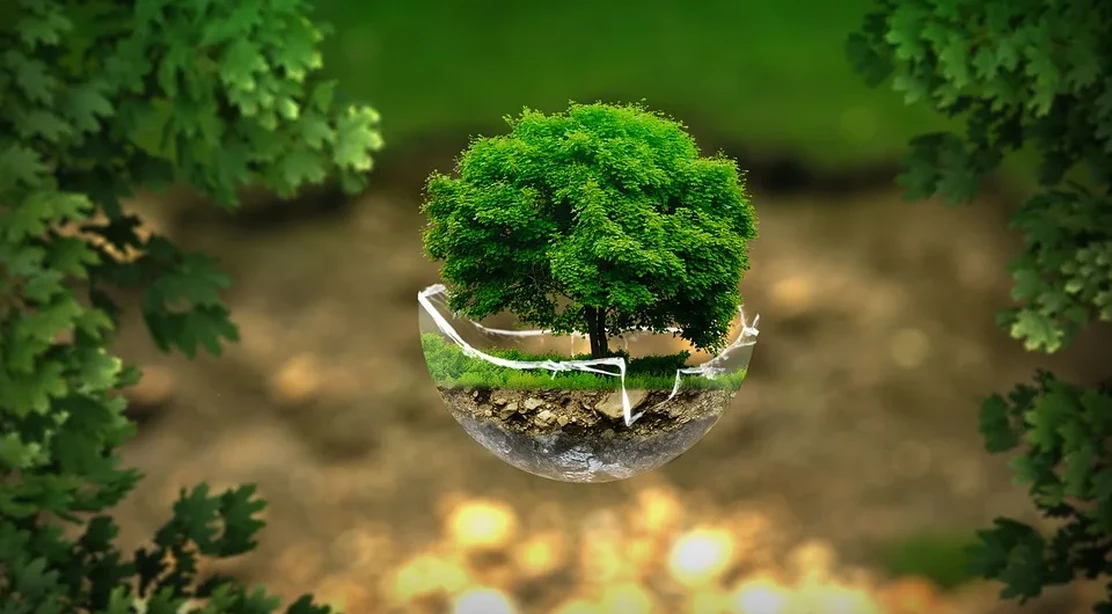 Aula Bio, un programa que difundirá los beneficios de la alimentación ecológica en las escuelas