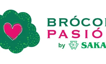Brócoli Pasión, un proyecto que promueve una alimentación sana en la infancia