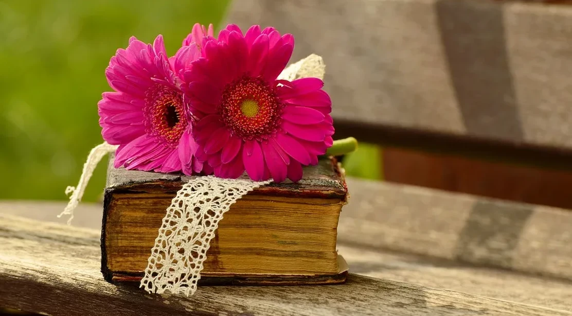 Día del Libro: celebradlo con un cuento infantil bilingüe