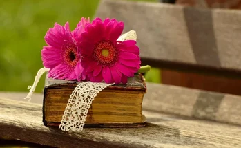 Día del Libro: celebradlo con un cuento infantil bilingüe