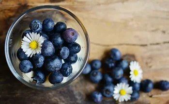 10 alimentos que no pueden faltar en la dieta de los estudiantes