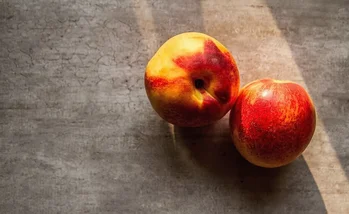 Las mejores frutas de verano para los niños