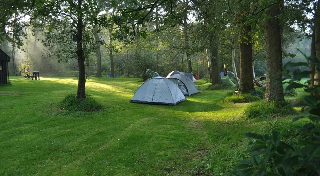 Consejos para ir de camping con los niños
