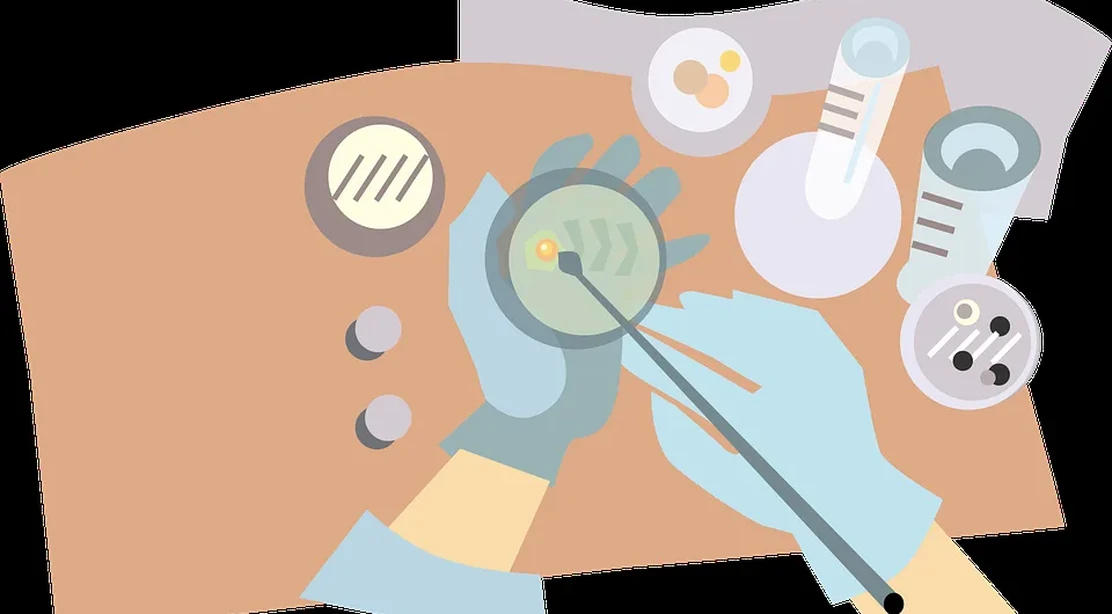 Juegos de biología para aprender jugando