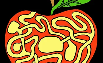 Juegos de lógica para grandes y pequeños