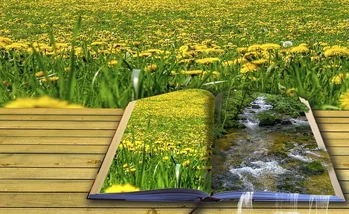 Libros de poesía para los pequeñines de la casa