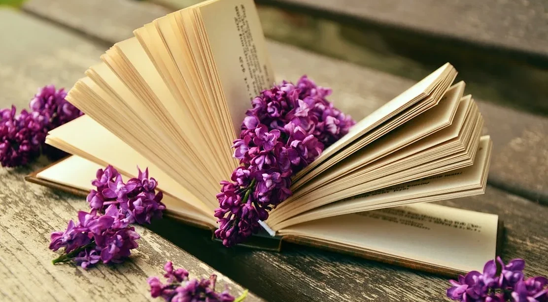 Libros educativos para aprender leyendo