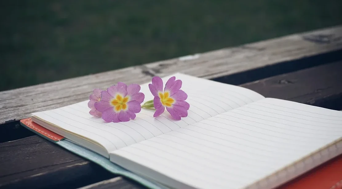Libros para estimular la creatividad de los niños