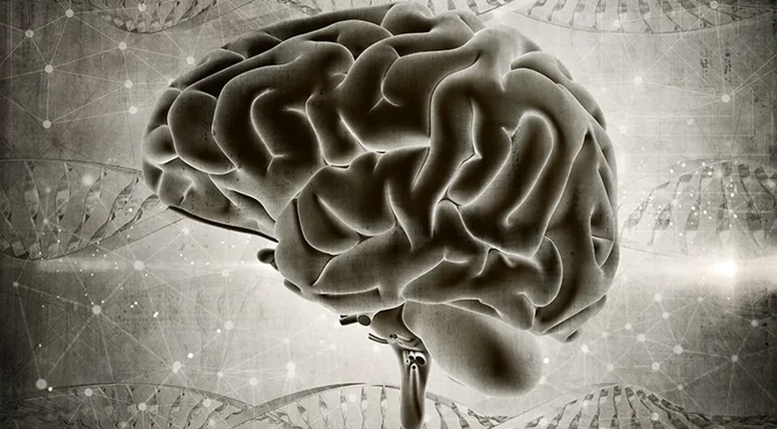"formas-de-prevenir-el-deterioro-cognitivo-wikiduca"