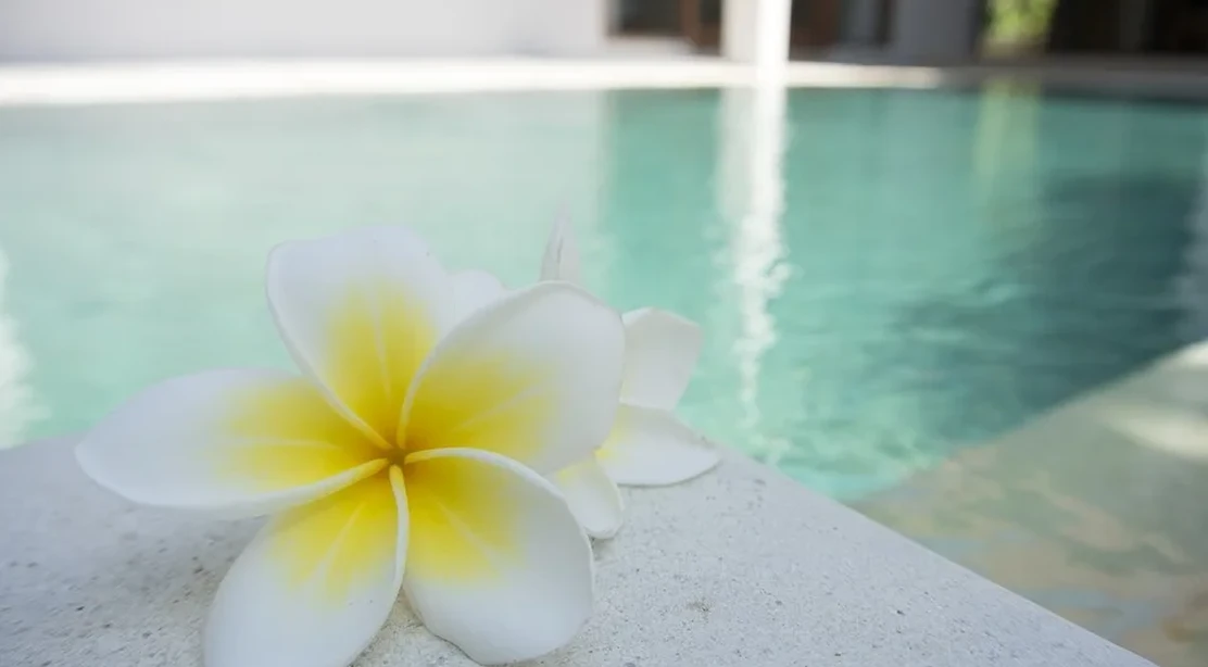5 spas para ir con niños