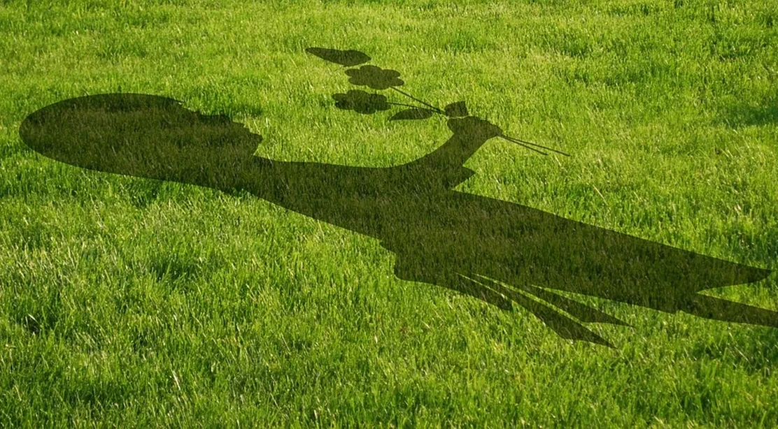 Ventajas de jugar al aire libre