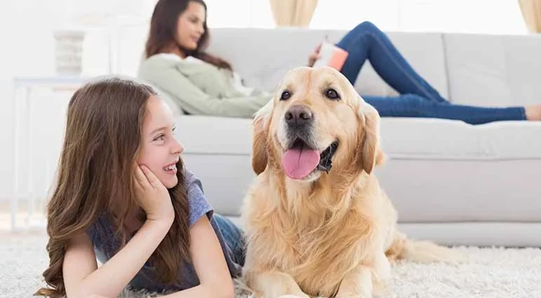 ventajas-de-tener-una-mascota-para-los-ninos-wikiduca