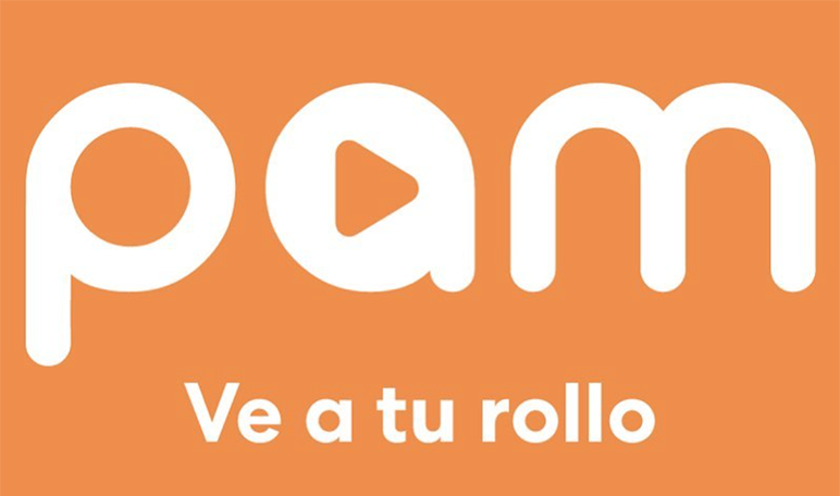 pamlearning-estudiar-wikiduca