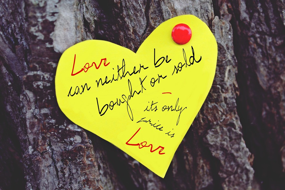 Frases De San Valentin Para Aprender Ingles Wikiduca